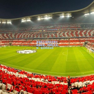 开云体育官网_曼城官方深情致谢费尔南迪尼奥，功勋队长告别，蓝月传奇永存