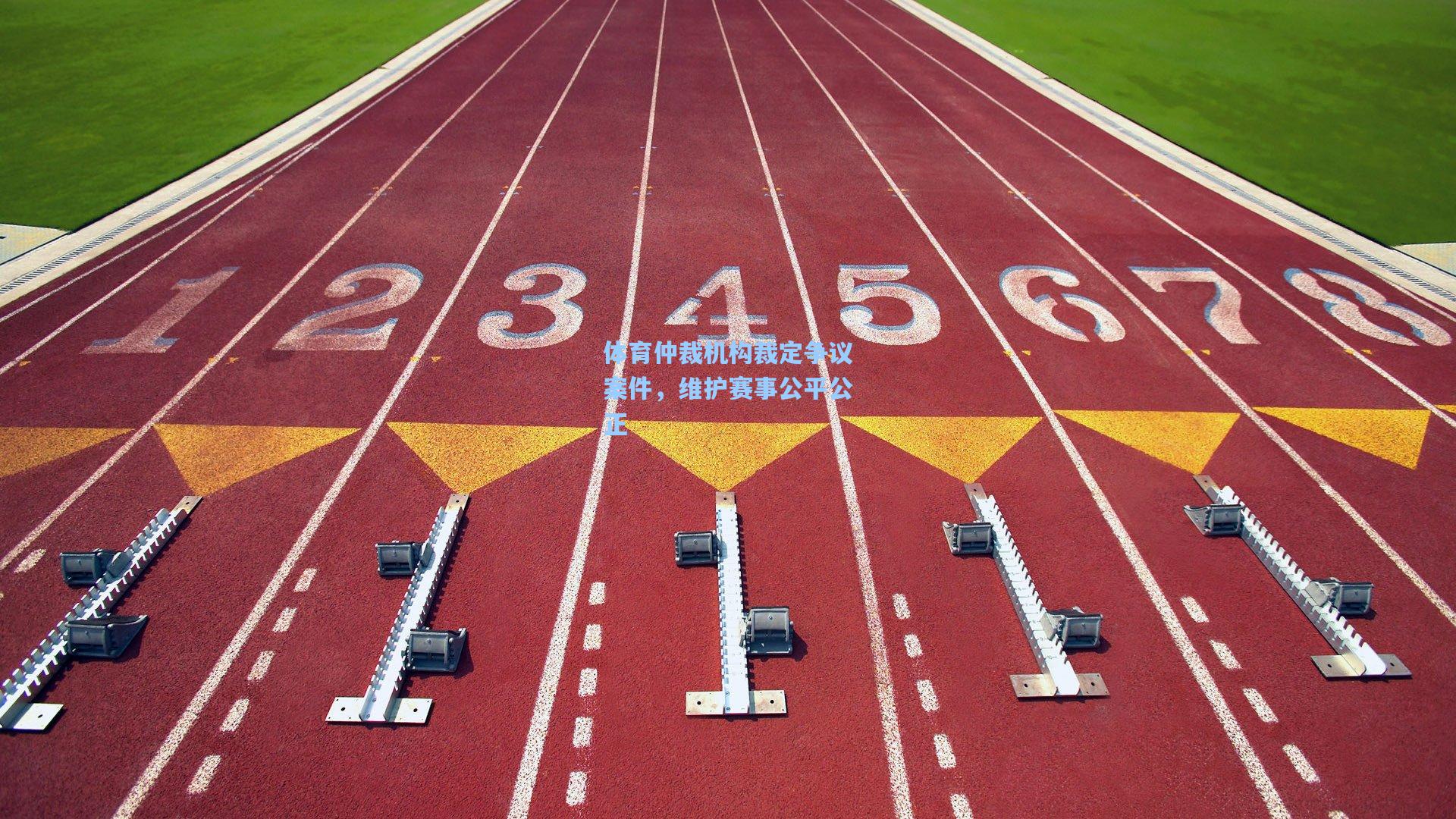 体育仲裁机构裁定争议案件，维护赛事公平公正