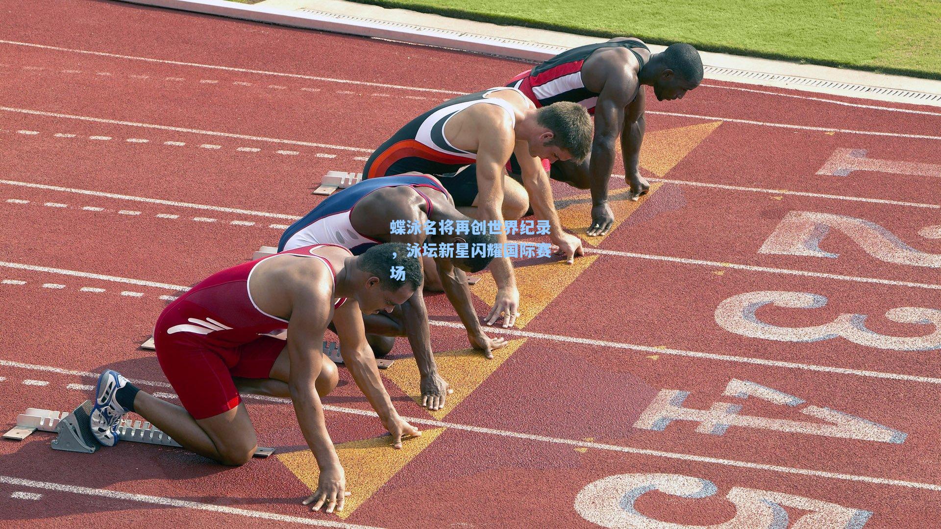 蝶泳名将再创世界纪录，泳坛新星闪耀国际赛场